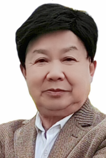 《川军抗日》