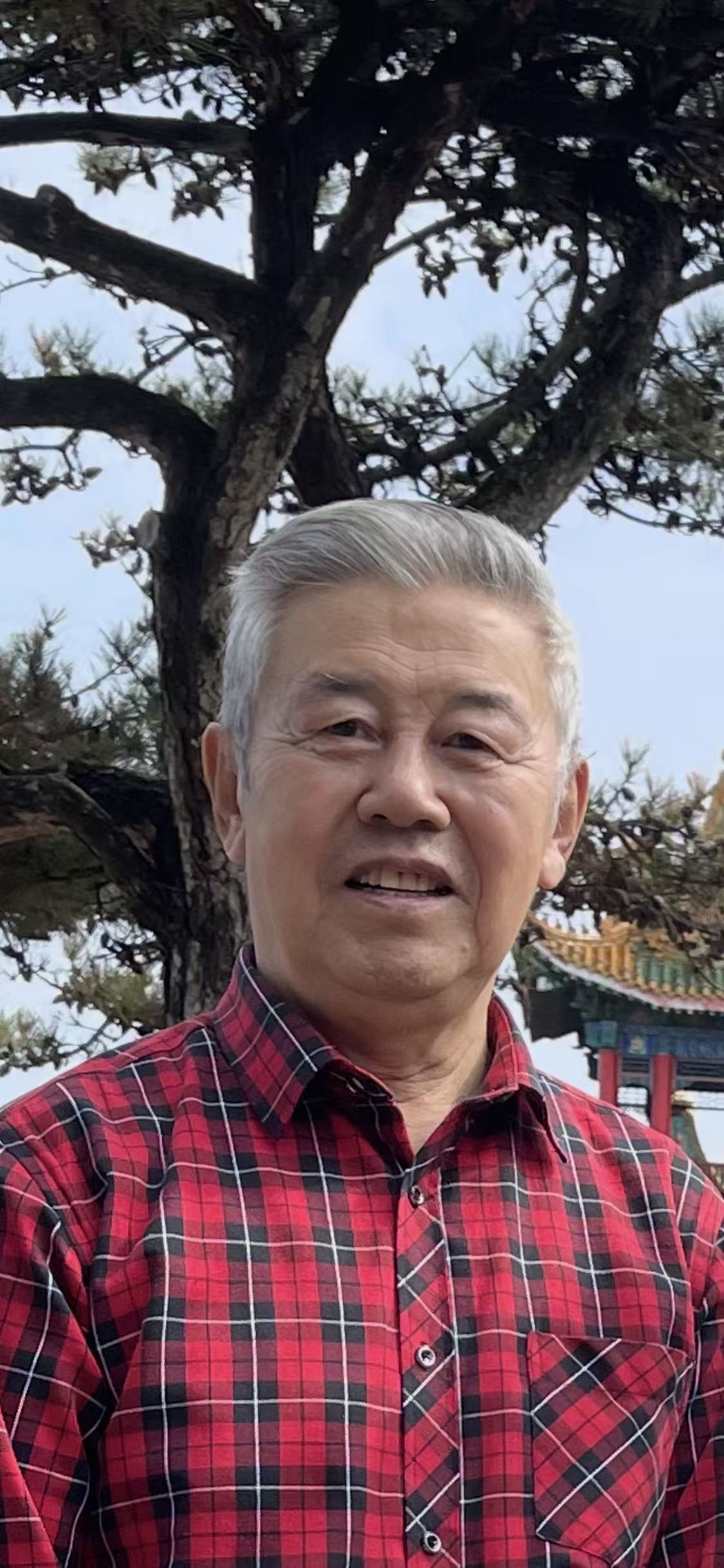 迟归