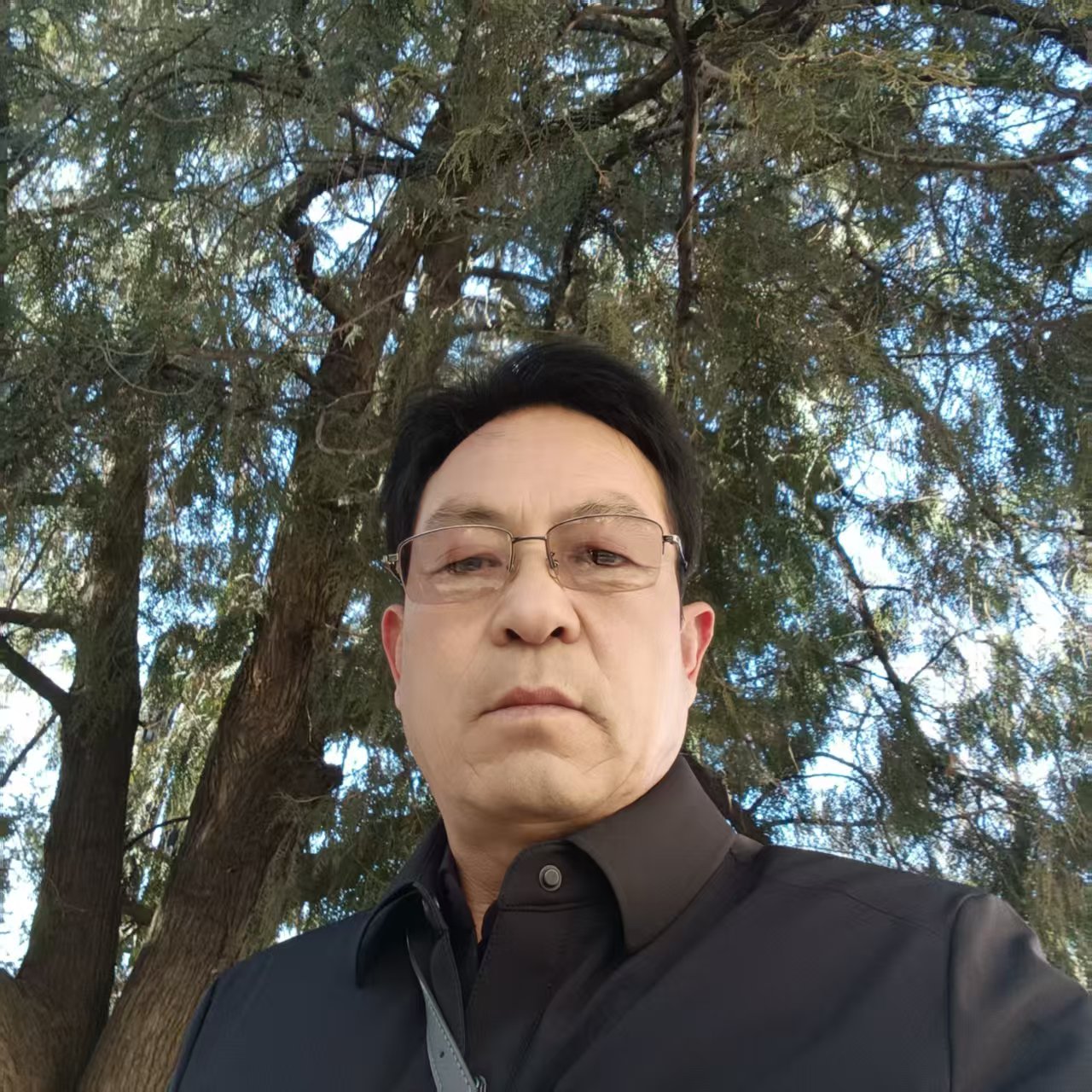  北京韶华墨韵书画院会员——党茂新先生