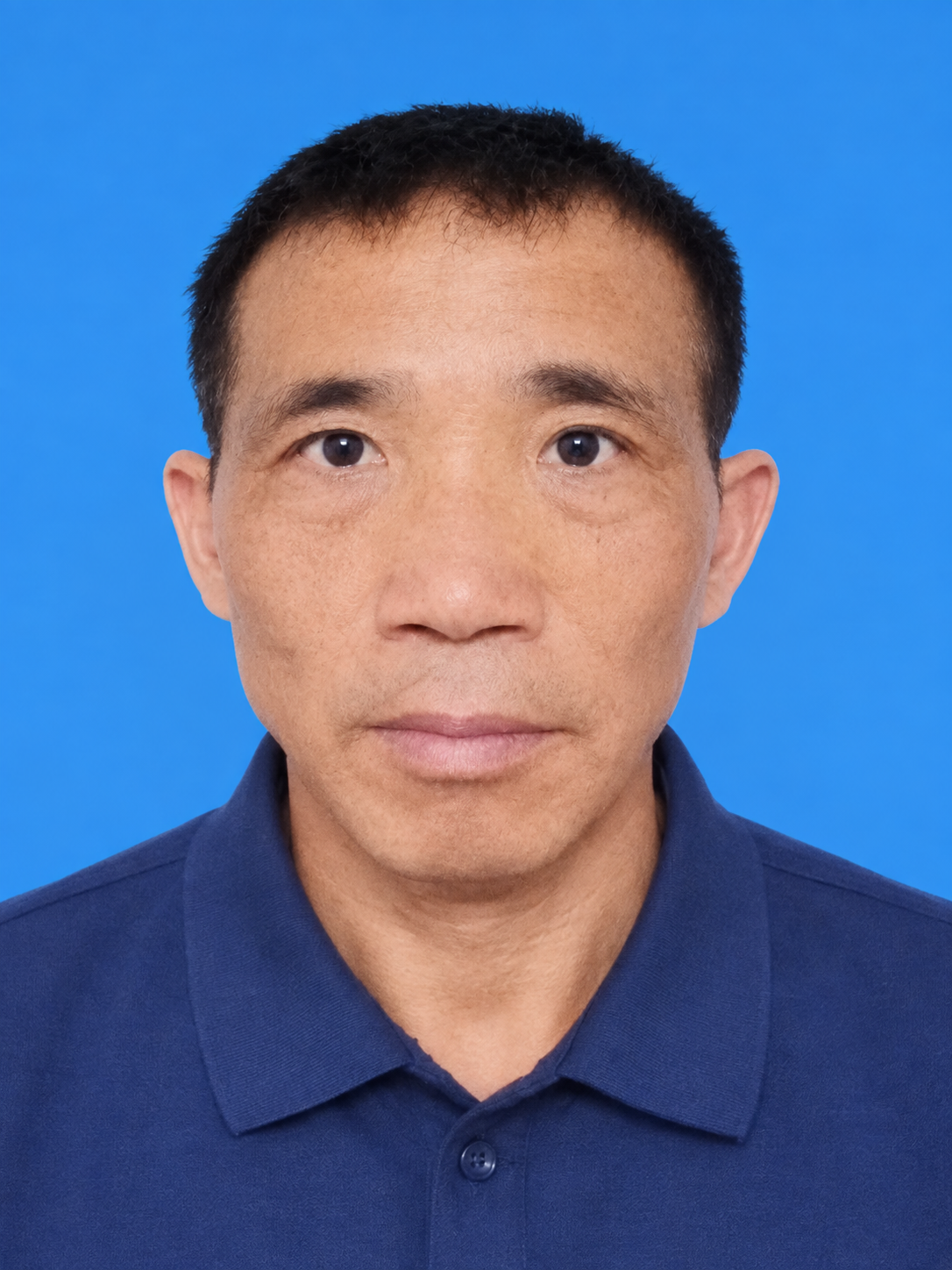 艺术名家——杨献书先生