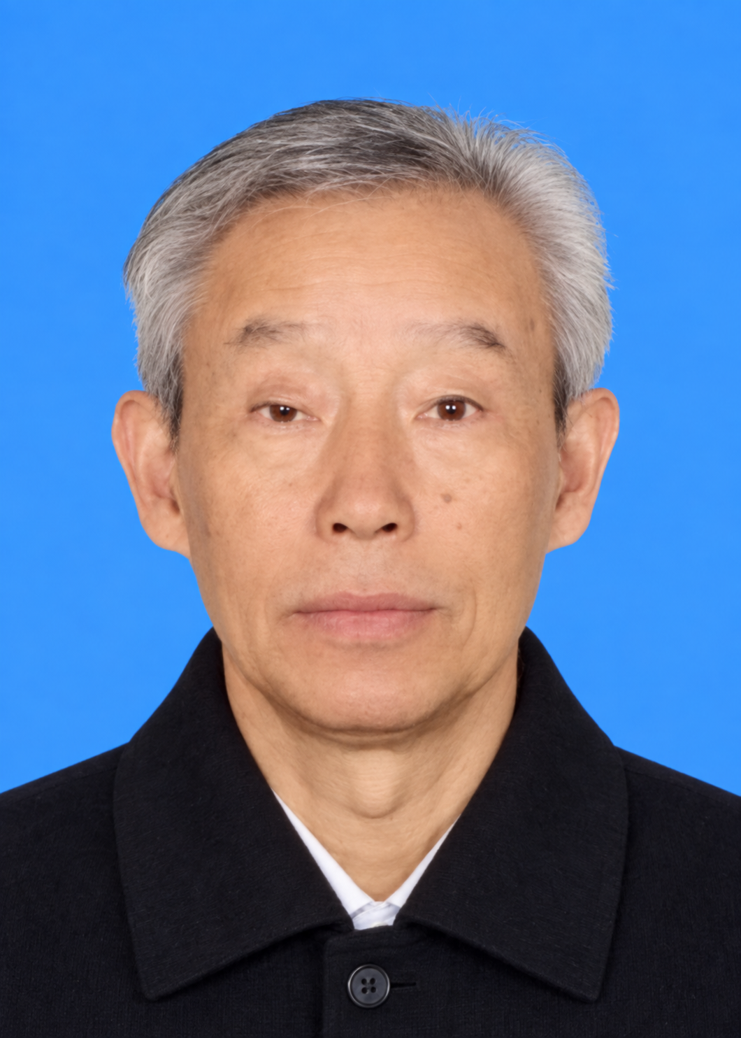 艺术名家——金光振先生
